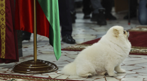 Чалый: «Лукашенко сейчас так же одиноко и страшно. Он долго себя убеждал, что не проиграл выборы»