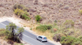 «Европейцы понимают, что разговаривать с Лукашенко не о чем»