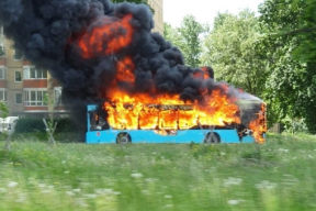 Почему «технологический суверенитет» имени Лукашенко пахнет горелыми автобусами МАЗ