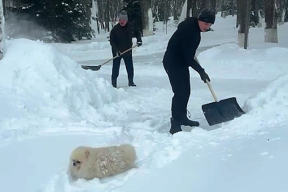 «Истекающий гарант вообще всех победил. У него победа — это непрерывный процесс по типу пищеварения»