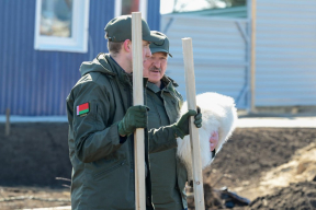 «Шарашка для Коли Лукашенко». Чалый прокомментировал создание «образовательного спецназа»