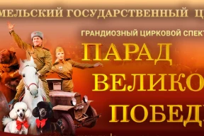 Как в гомельском цирке одержали победу над здравым смыслом